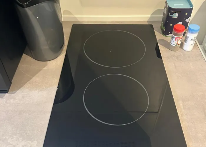 Avec Terrasse Vieux Apartment *